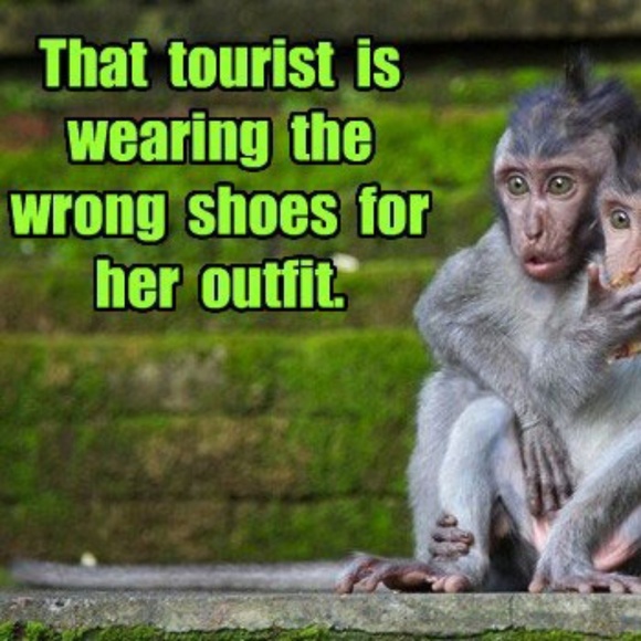 Meet your Posher, Eva - Picture 1 of 1